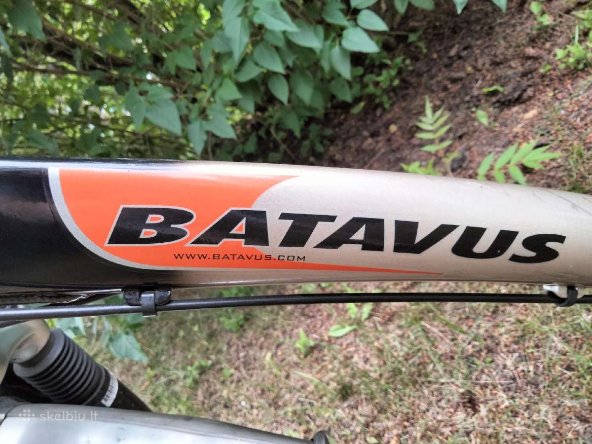 Nuostabus Batavus moteriškas dviratis - nuotraukos Nr. 2