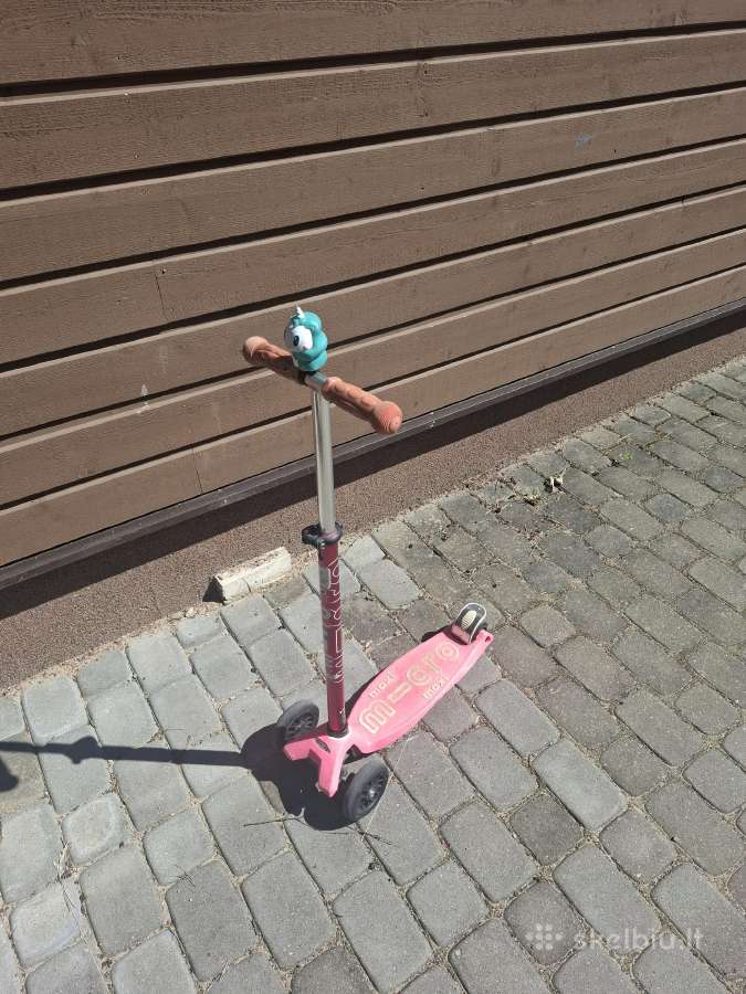 Micro maxi paspirtukas