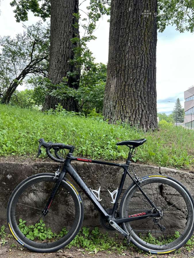 Canyon Endurance CF