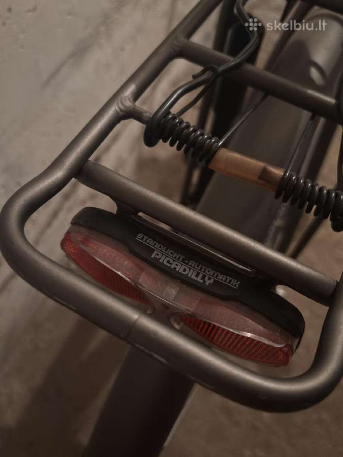 Panther Brax Feel Good miesto dviratis+brooks adds - nuotraukos Nr. 8