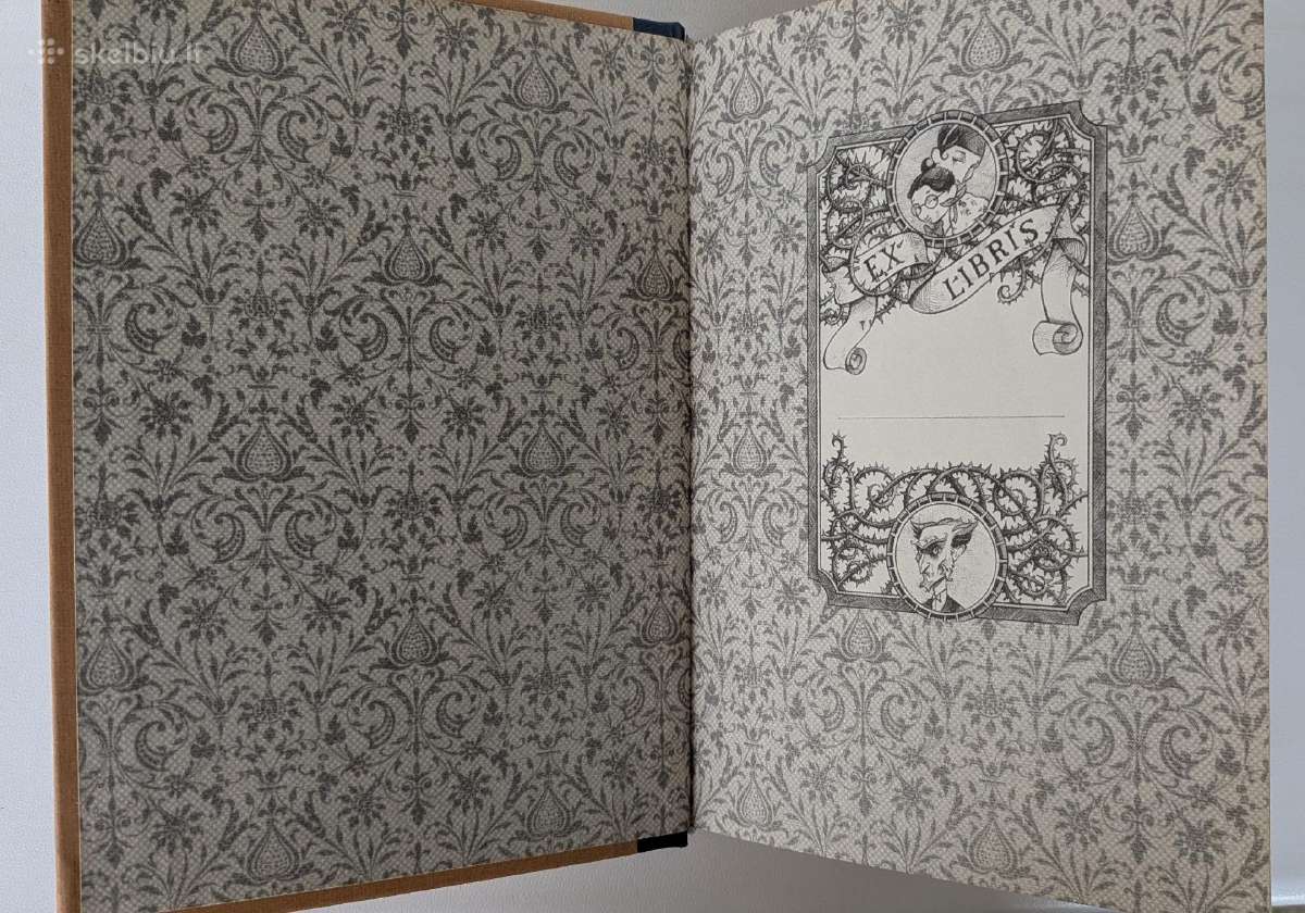 Bloga pradžia. Lemony Snicket - nuotraukos Nr. 2