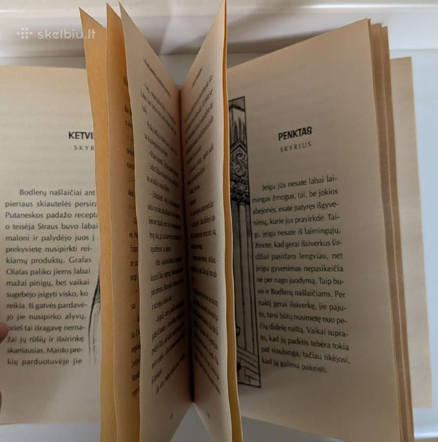 Bloga pradžia. Lemony Snicket - nuotraukos Nr. 7