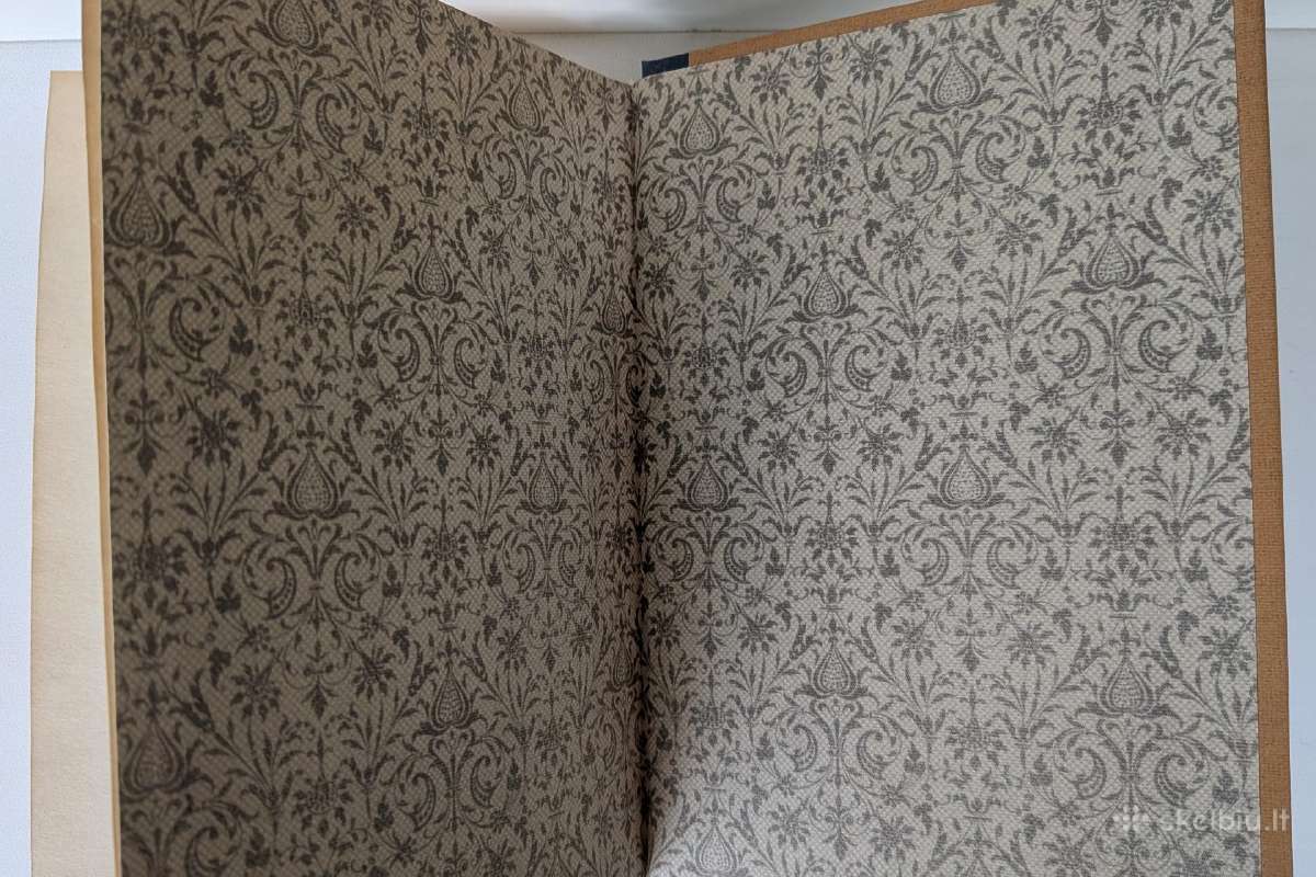 Bloga pradžia. Lemony Snicket - nuotraukos Nr. 9