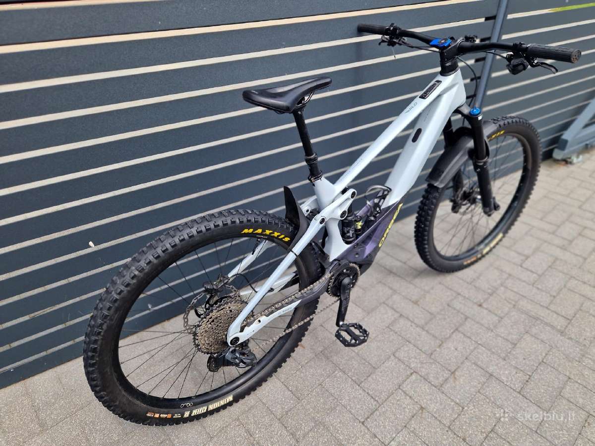 Orbea Wild M10 emtb 2024 L dydis - nuotraukos Nr. 5