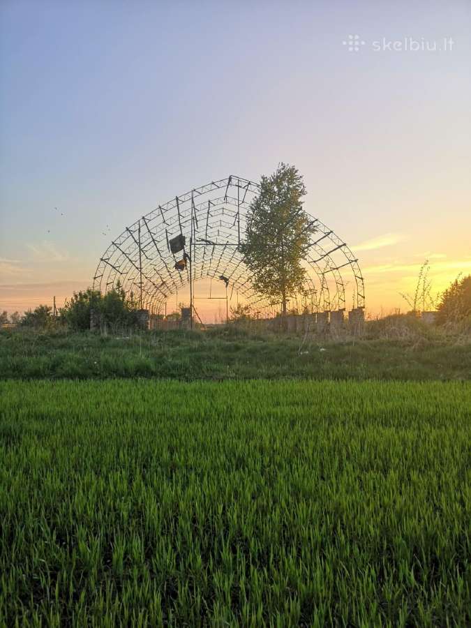 Angaras