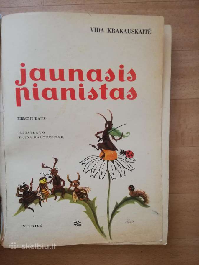 Jaunasis pianistas - nuotraukos Nr. 2