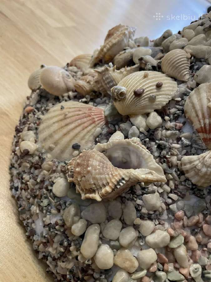 Rankų darbo gėlių vazonas, aplipdytas kriauklėmis - nuotraukos Nr. 16