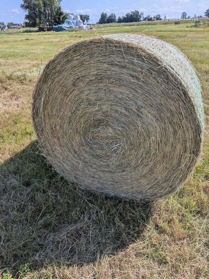 Šienas