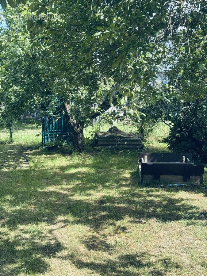 Sodo sklypas