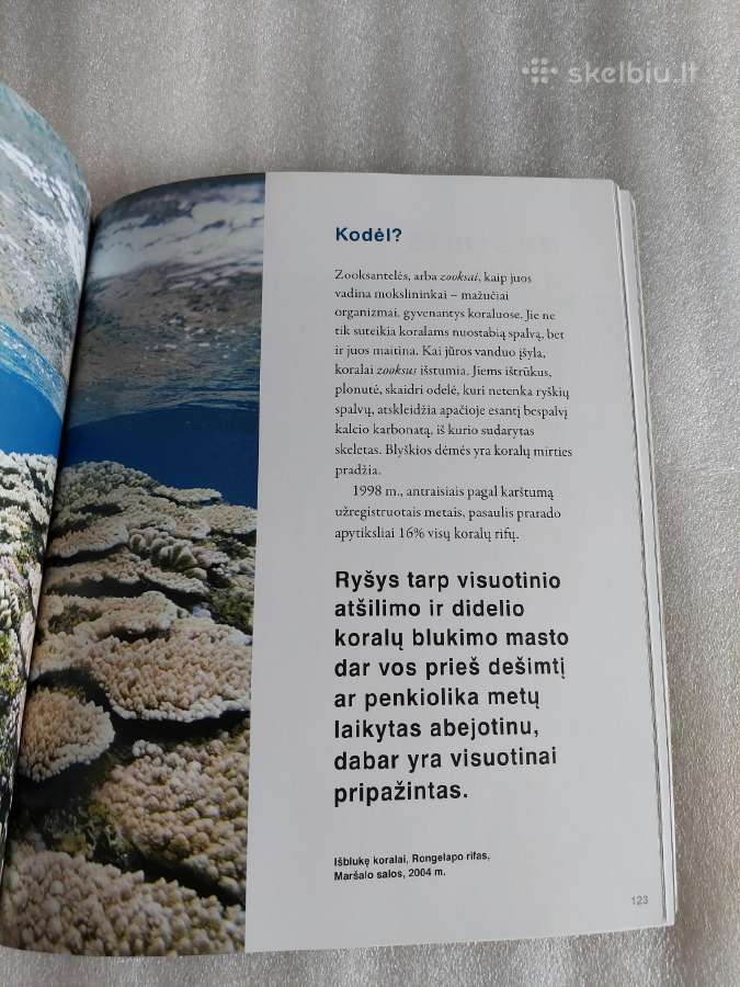 Nepatogi tiesa - nuotraukos Nr. 5