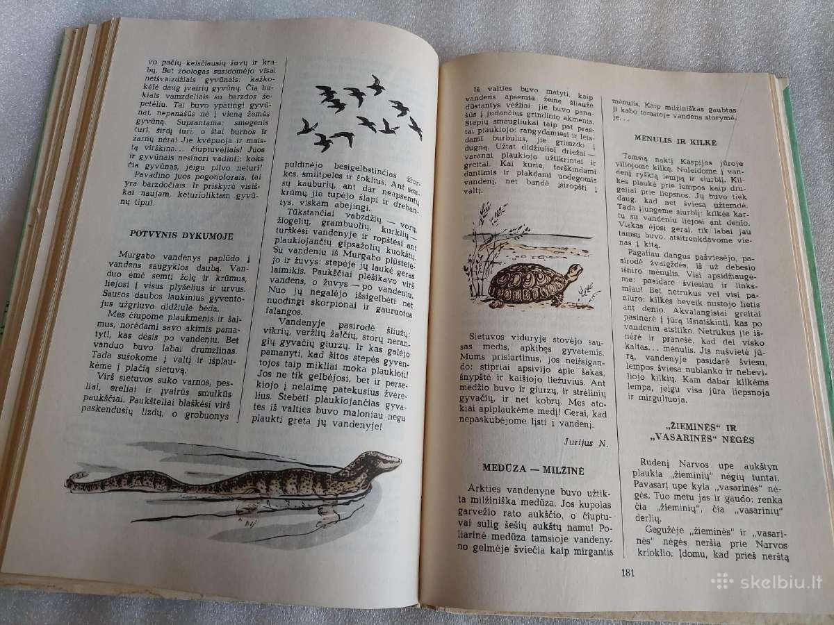 Povandeninis laikraštis - nuotraukos Nr. 6