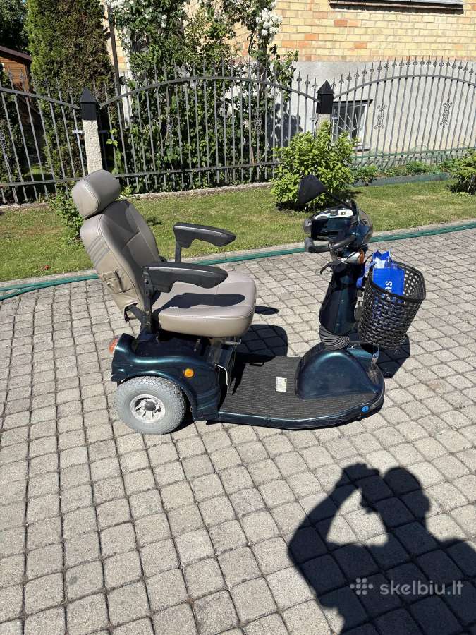 Elektrinis vezimelis