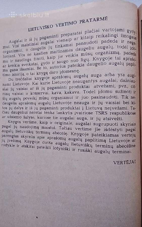 Maistinių augalų gydomosios savybės - nuotraukos Nr. 3