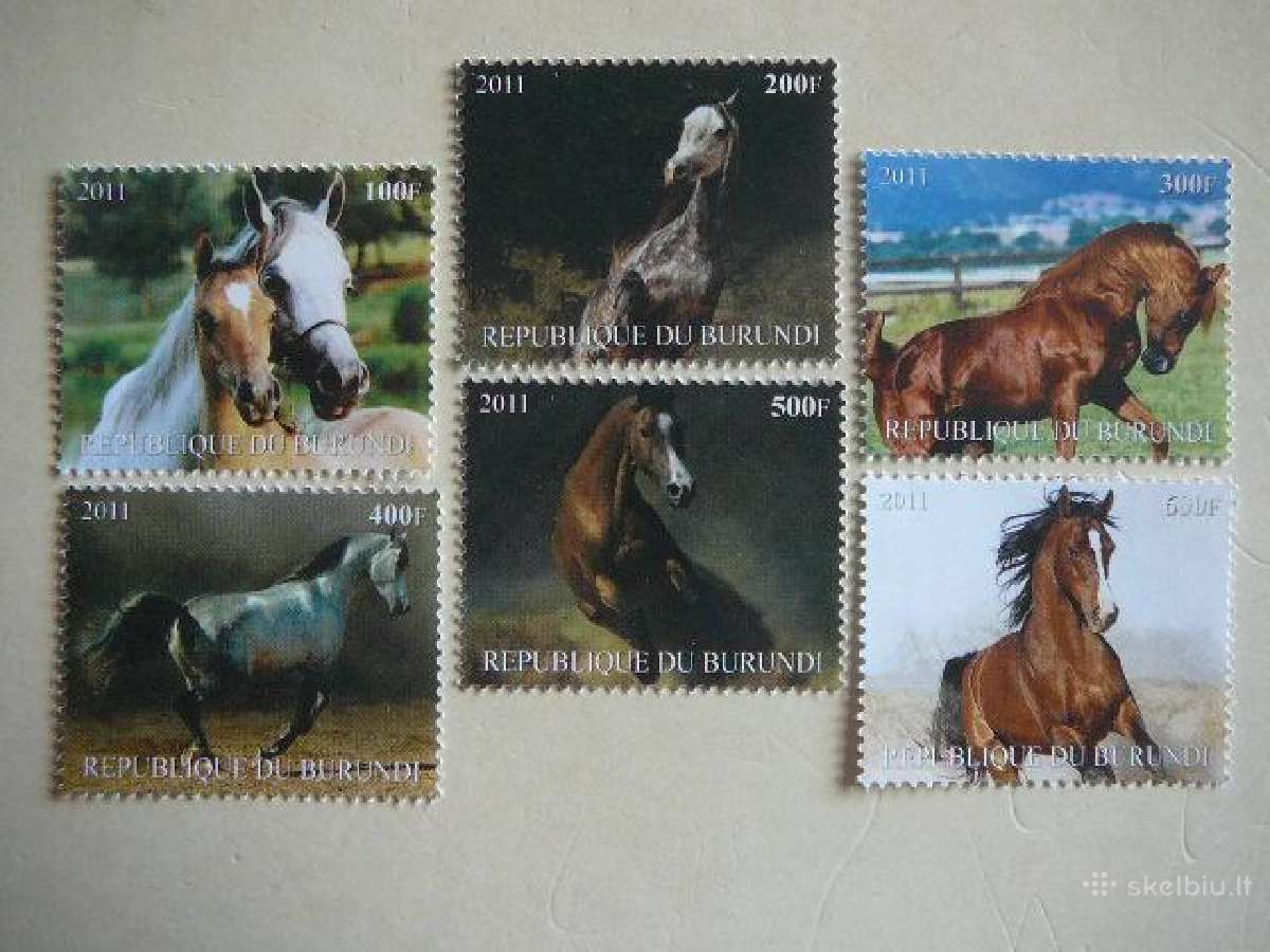Arkliai Burundis 2011 svarus b1562