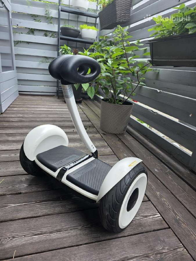 Riedis Segway Ninebot Minilite