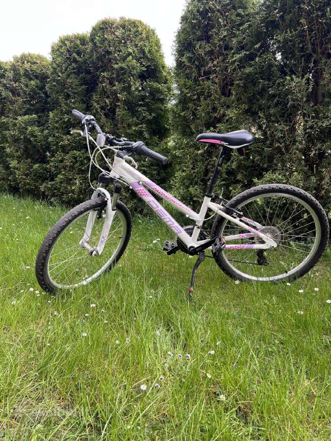 Vaikams/paaugliams dviratis Dema Pegas M3020
