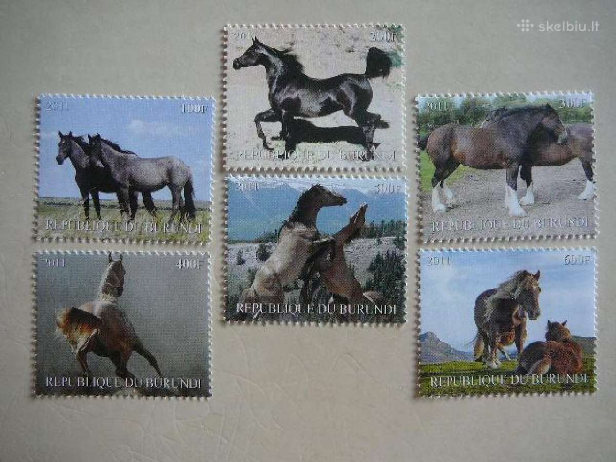 Arkliai Burundis 2011 svarus ak1566