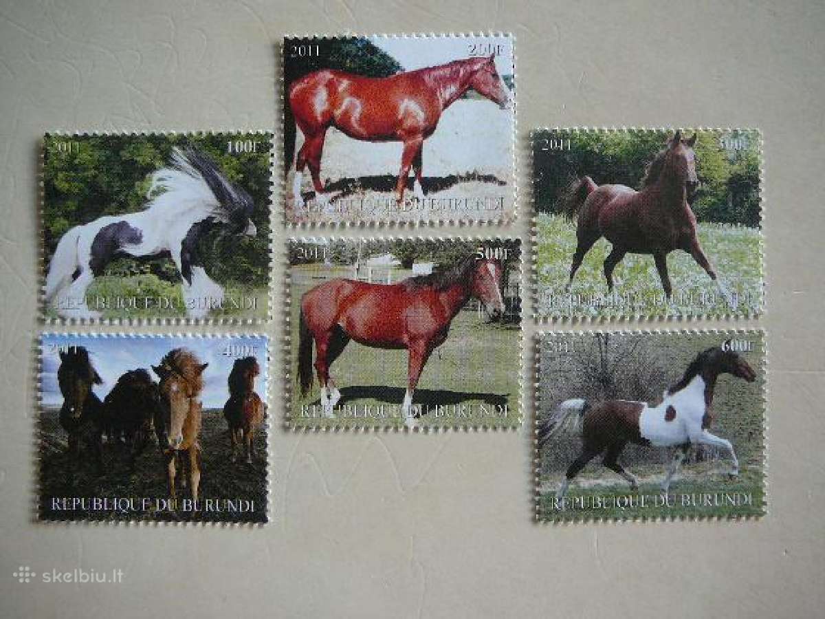 Arkliai Burundis 2011 svarus ak1568
