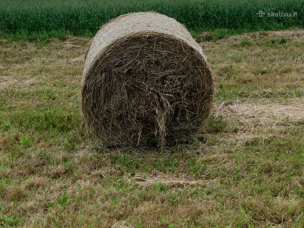 Parduodu šių metų šieno rulonus