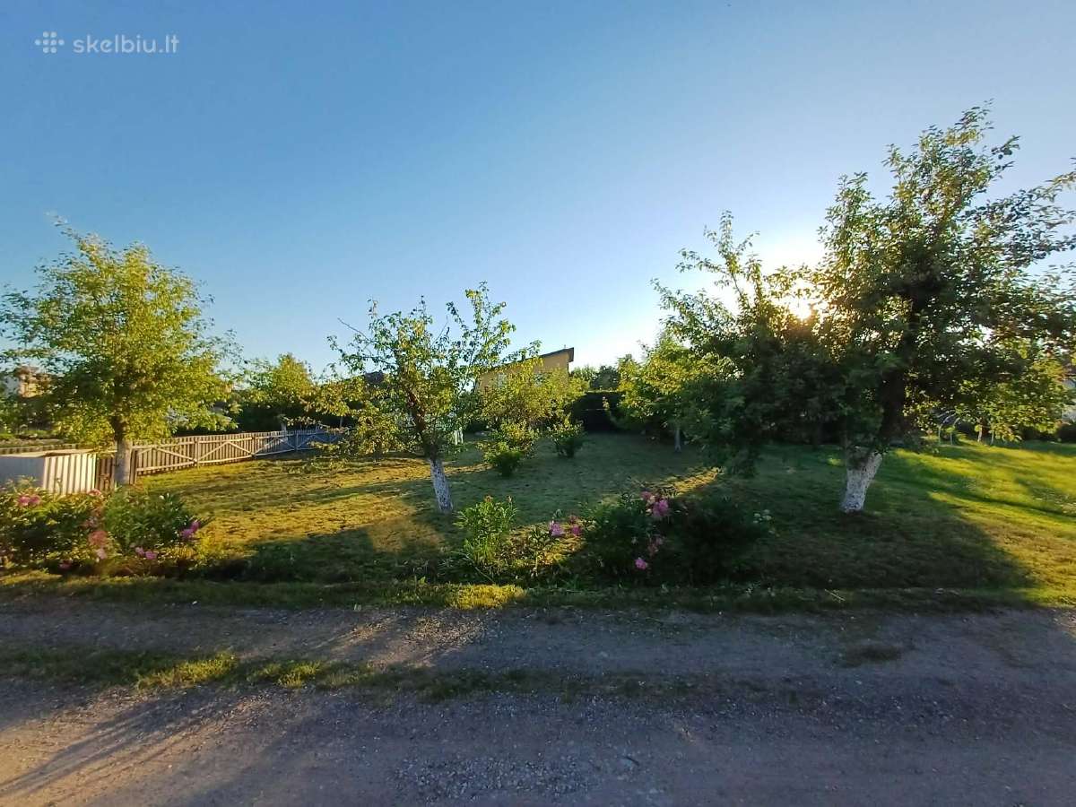 Parduodamas sodo sklypas SB Ąžuolas Panevėžyje - nuotraukos Nr. 5