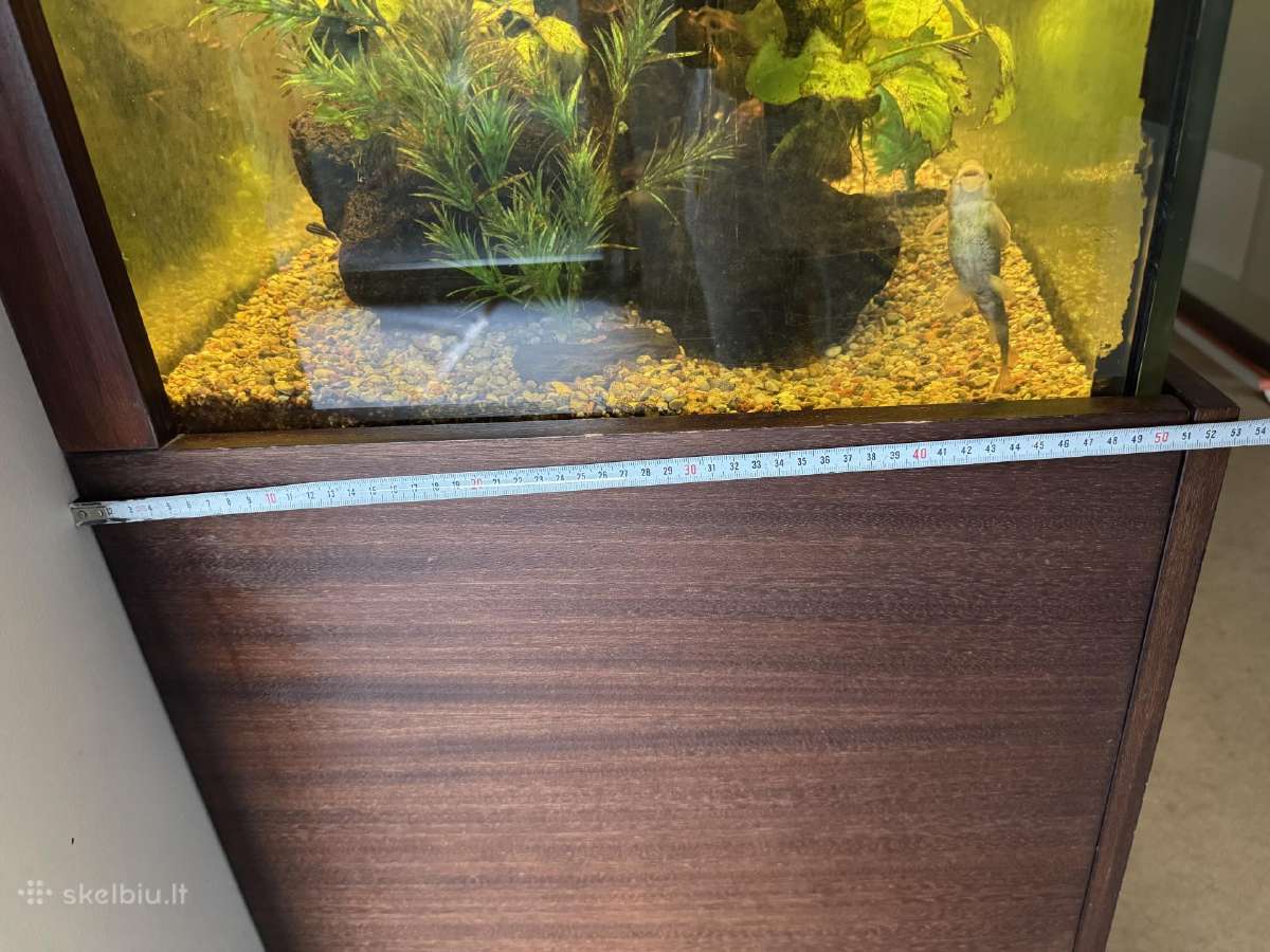 Didelis akvariumas -keturių pusių - apie 1000 l - nuotraukos Nr. 10