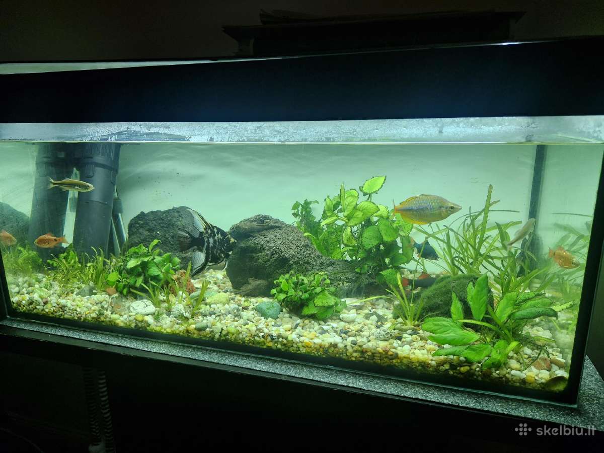 Parduodu 120 ltr akvariuma - nuotraukos Nr. 2