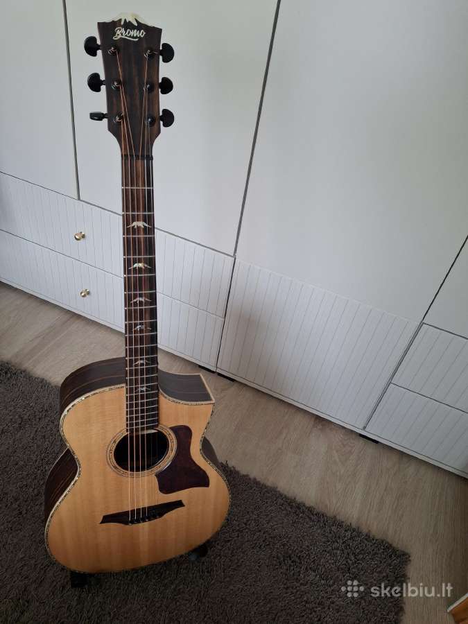 El.akustinės gitaros - nuotraukos Nr. 5