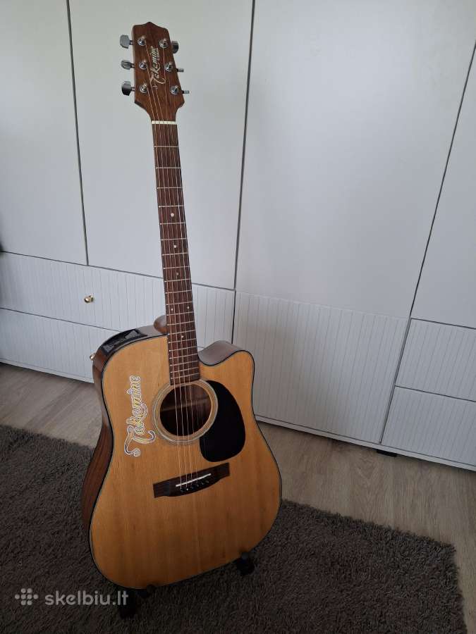 El.akustinės gitaros - nuotraukos Nr. 9