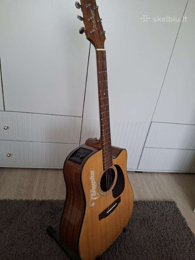 El.akustinės gitaros - nuotraukos Nr. 10