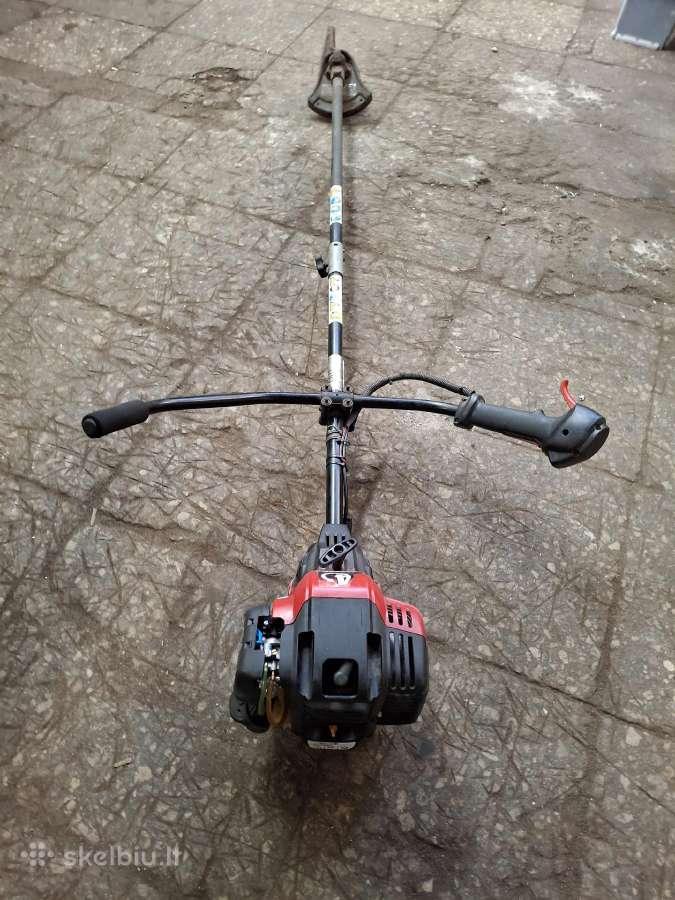 Trimeris Mtd