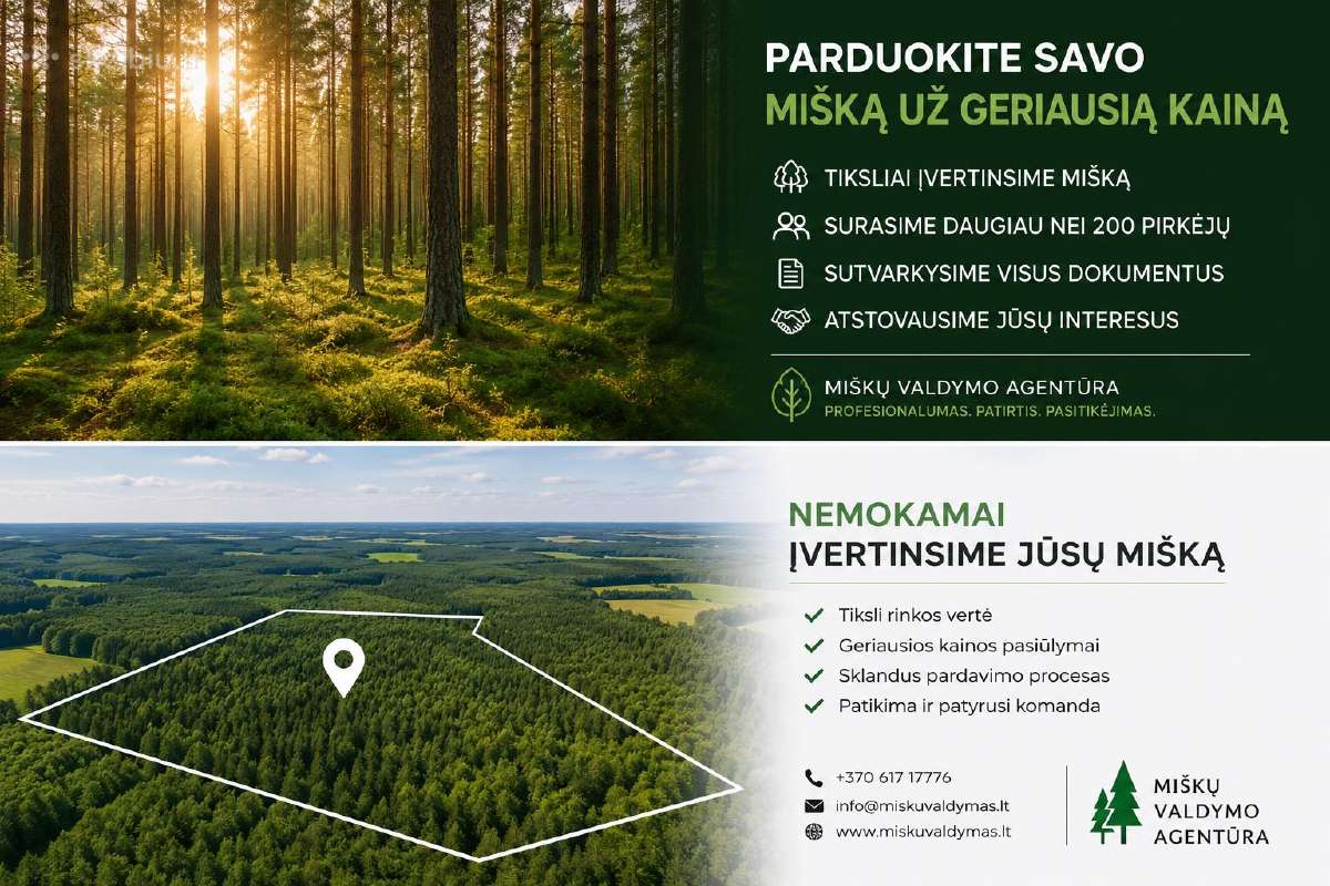 Parduokite mišką už geriausią kainą - nuotraukos Nr. 2