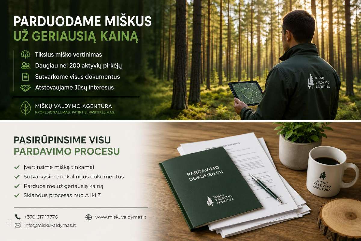 Parduokite mišką už geriausią kainą - nuotraukos Nr. 3