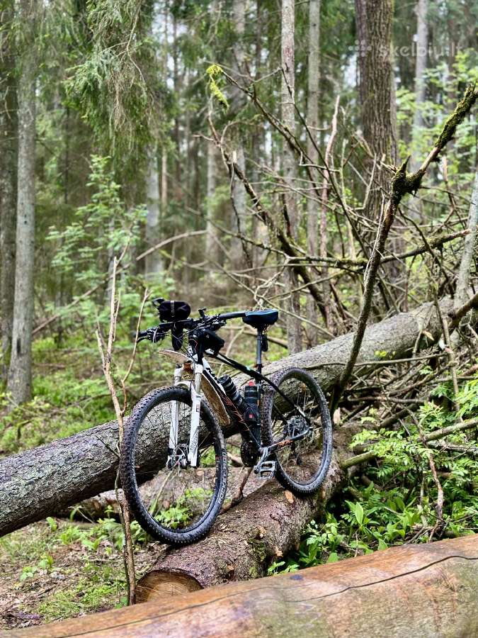 KTM XT, rockshox, tubeless. L - nuotraukos Nr. 7