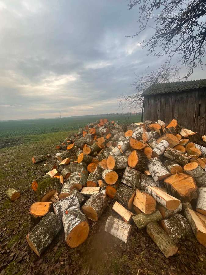 Parduodamos kokybiškos beržinės ir maišytos malkos
