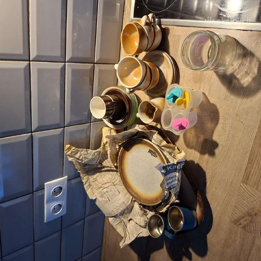 Aš atiduosiu indus