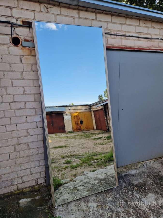 Stumdomos veidrodinės durys