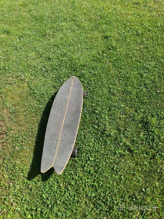 Longboard Fish riedlentė