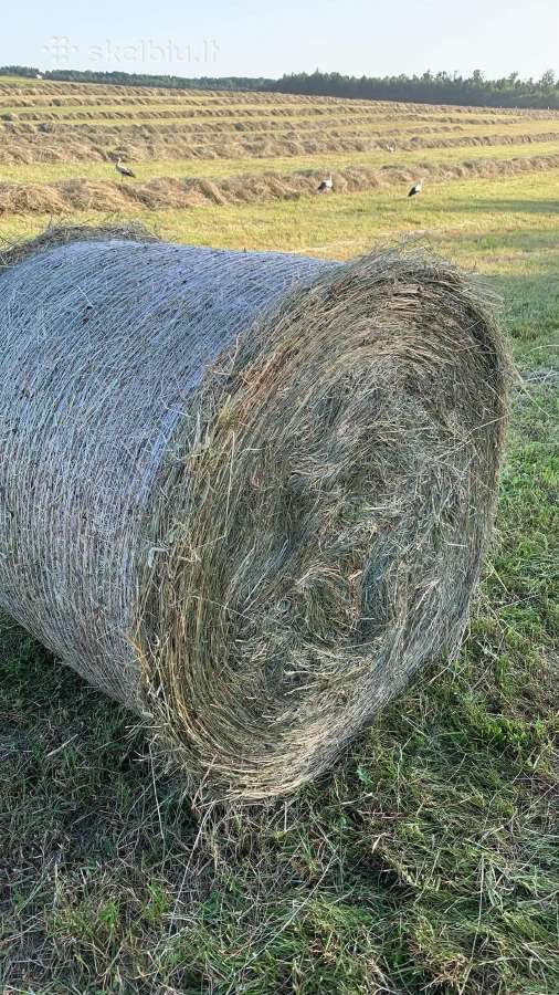 Šienas šių metų