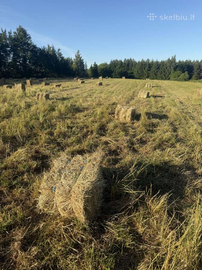 Parduodamos šių metų šieno kitkos
