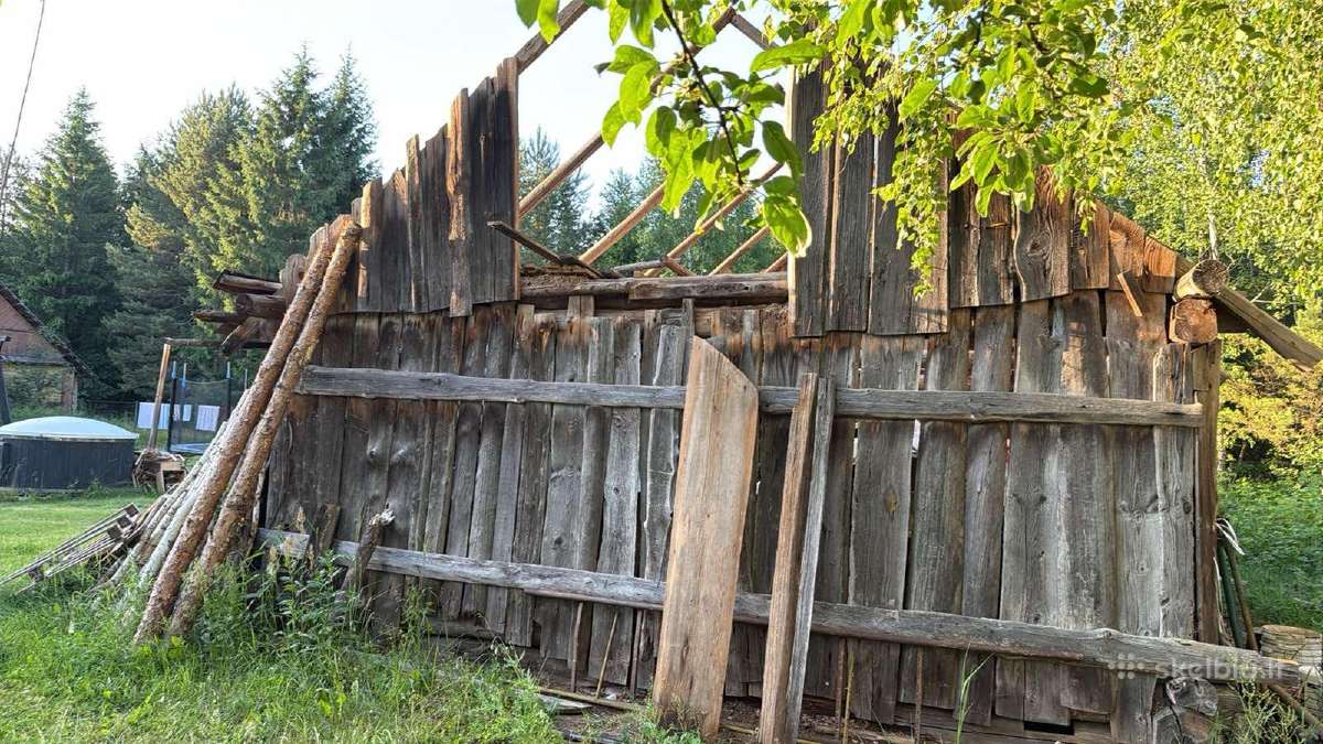 Dovanoju mediena