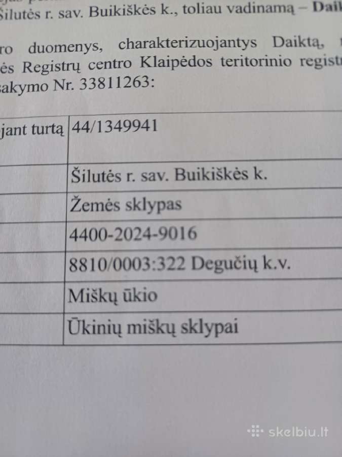 Miškų ūkio paskirties sklypas - nuotraukos Nr. 2