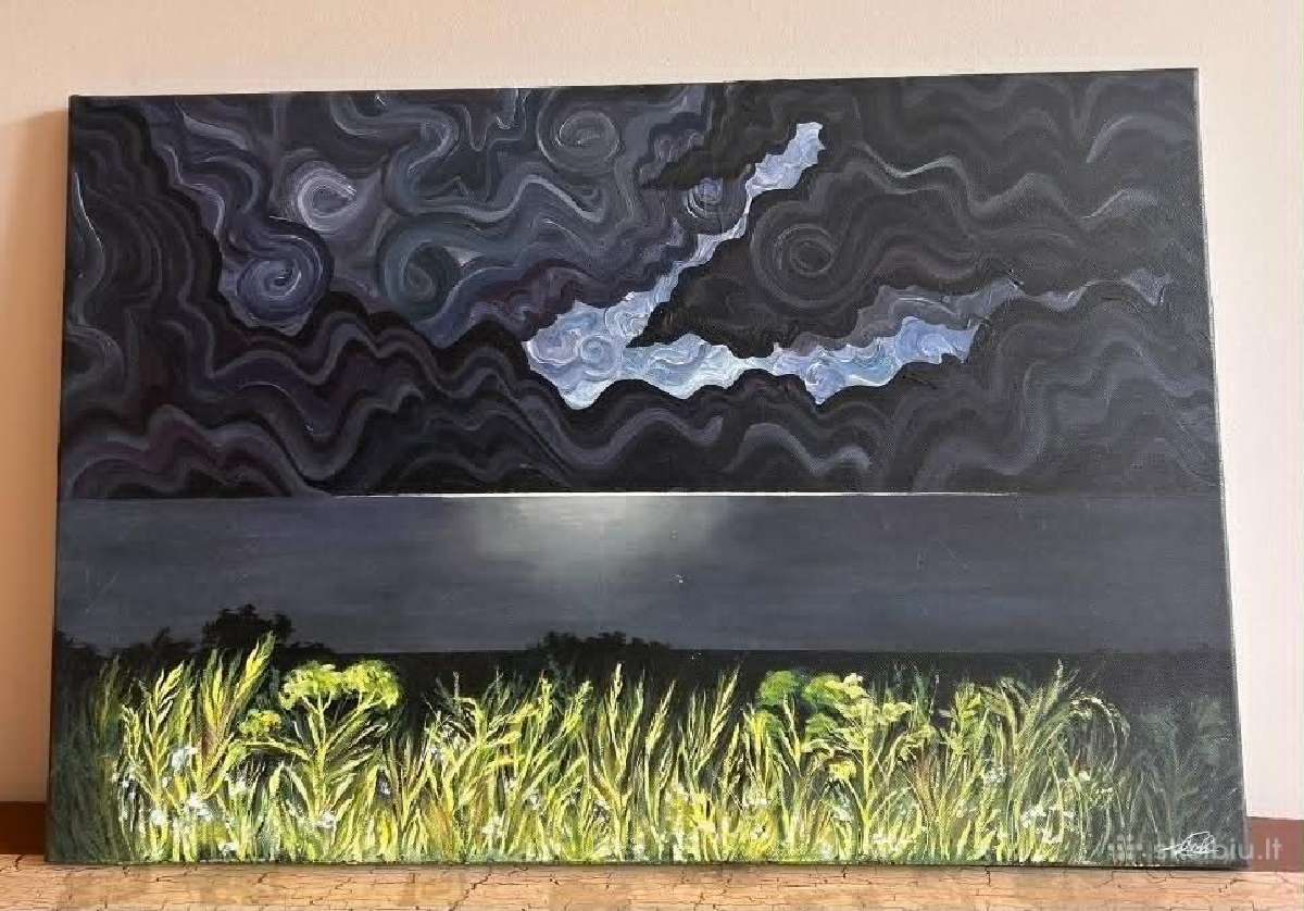 Paveikslas "Gamta automobilio šviesose - nuotraukos Nr. 2