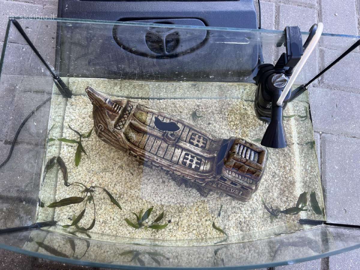 Akvariumas 20l su dekoracija ir augaliukais