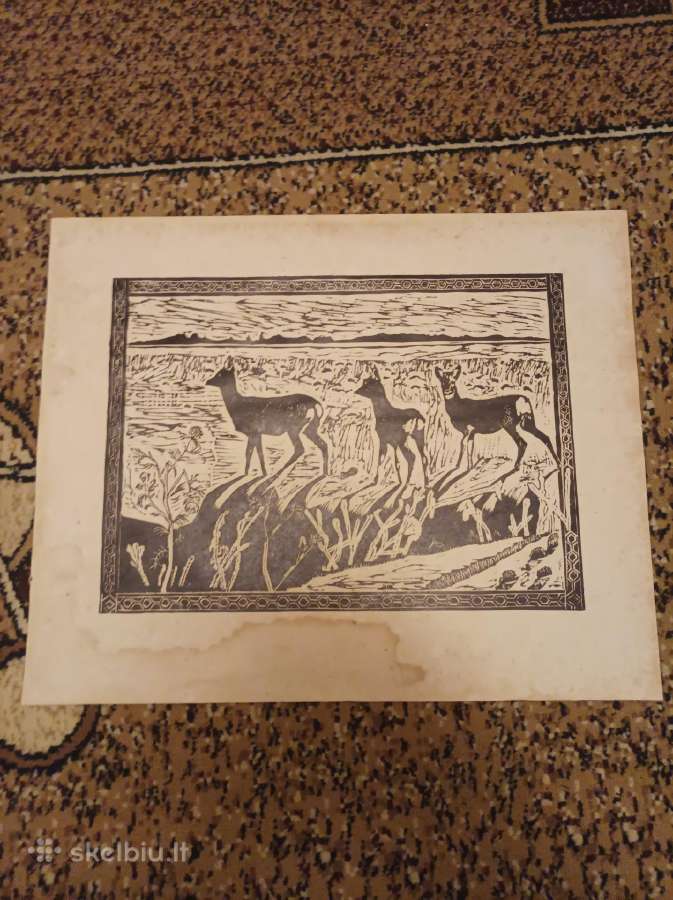 Paveikslas 42x52 - nuotraukos Nr. 5