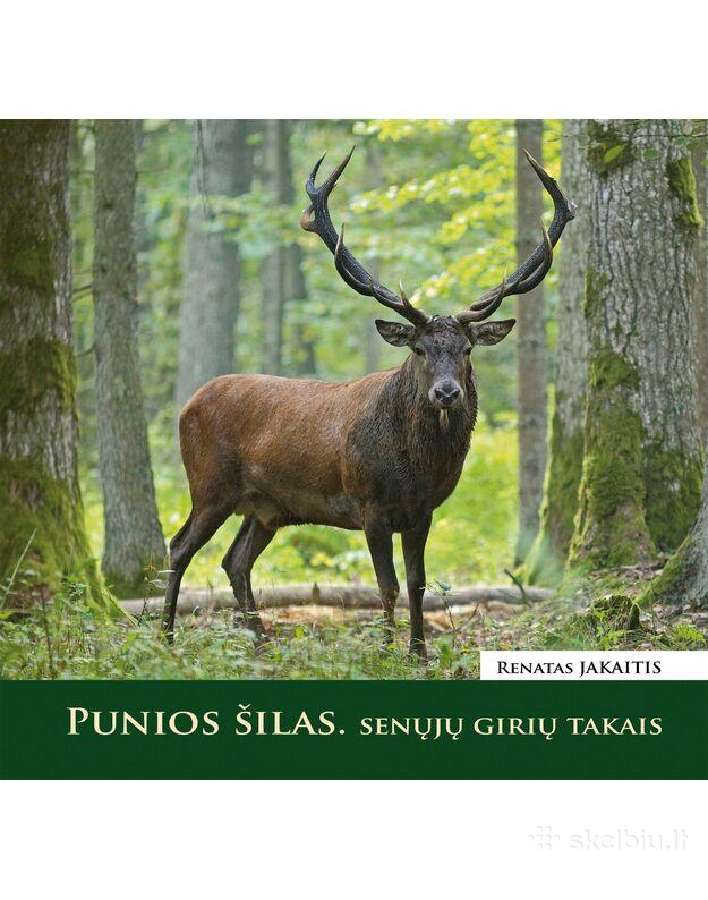 Sodybos nuoma šeimoms. - nuotraukos Nr. 26
