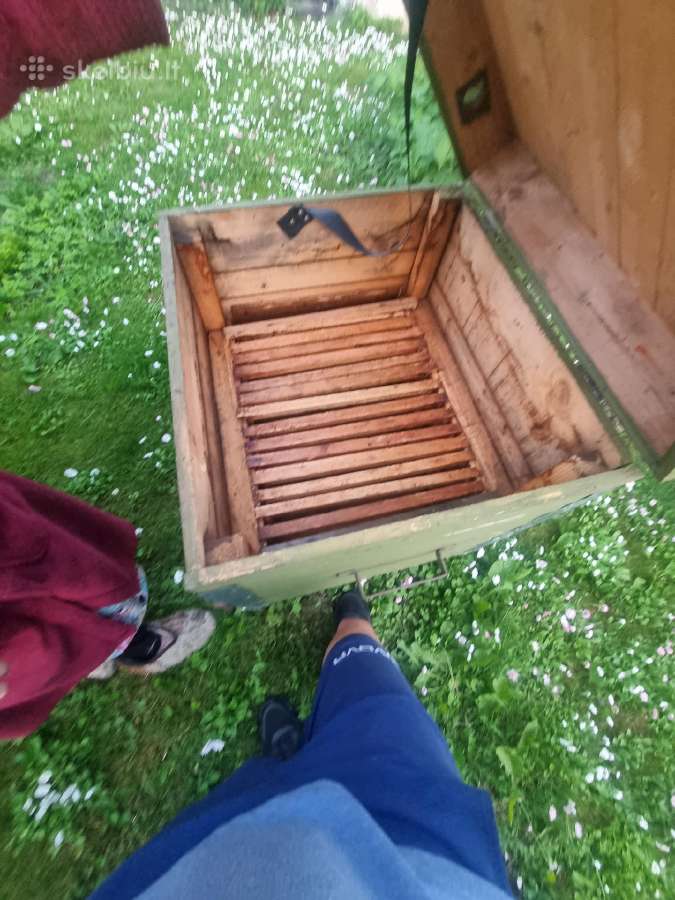 Parduodami keletas biciu aviliu po20e siauliai