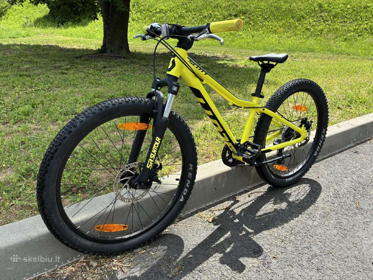 Scott scale 24 disc