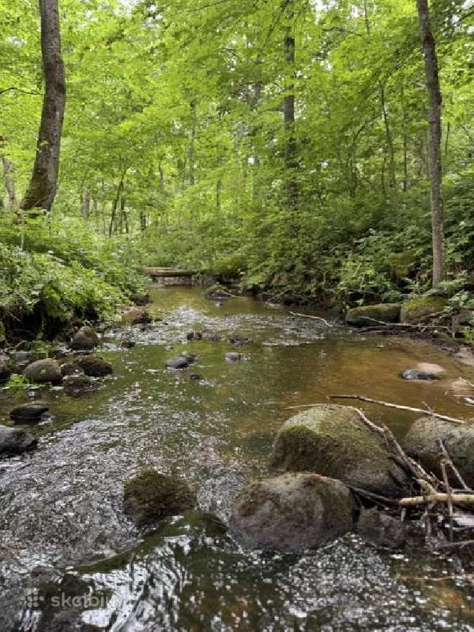 Jaukus namas su privačiu priėjimu prie upės - nuotraukos Nr. 16