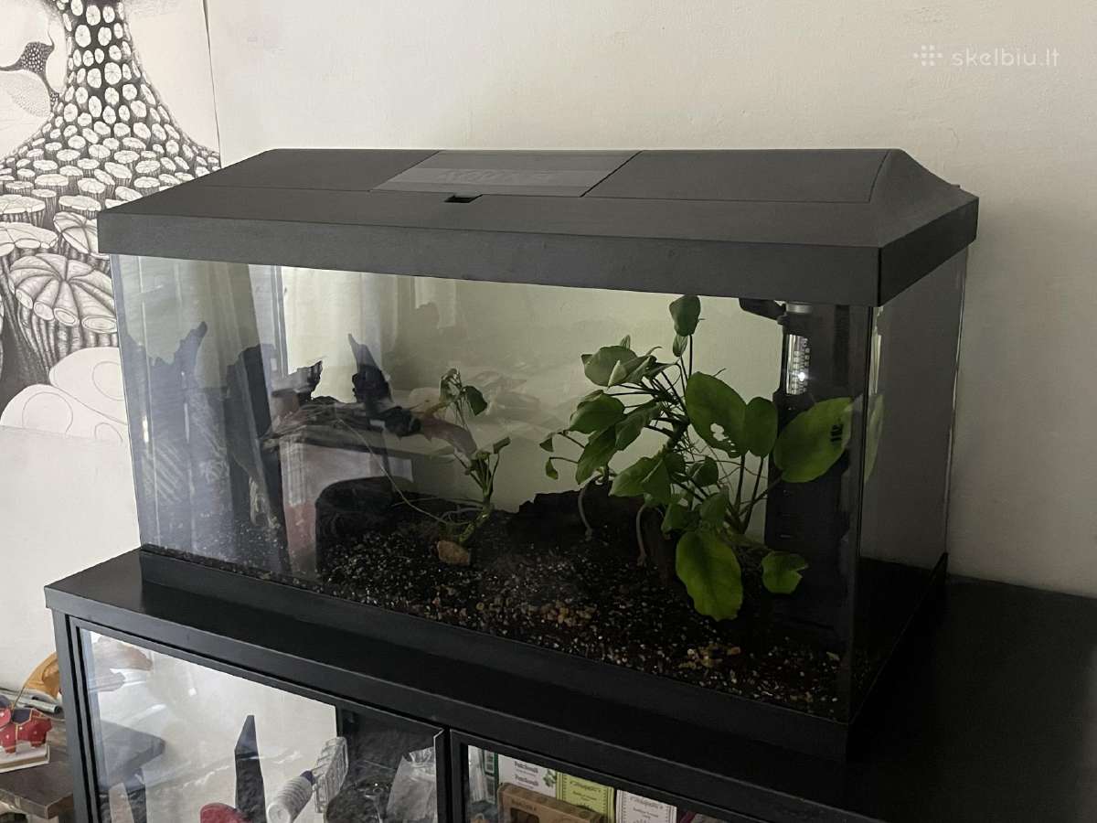 Akvariumas