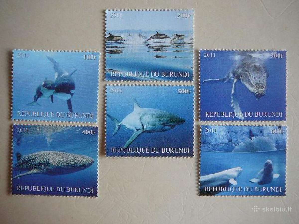 Delfinai Rykliai Dzibutis 2011 svarus dl1978